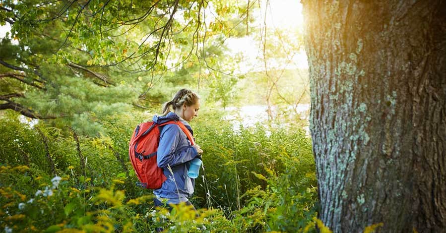 5 tips inför sommarens vandring