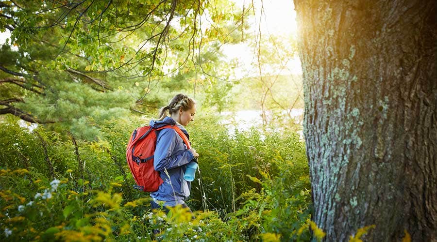5 tips inför sommarens vandring