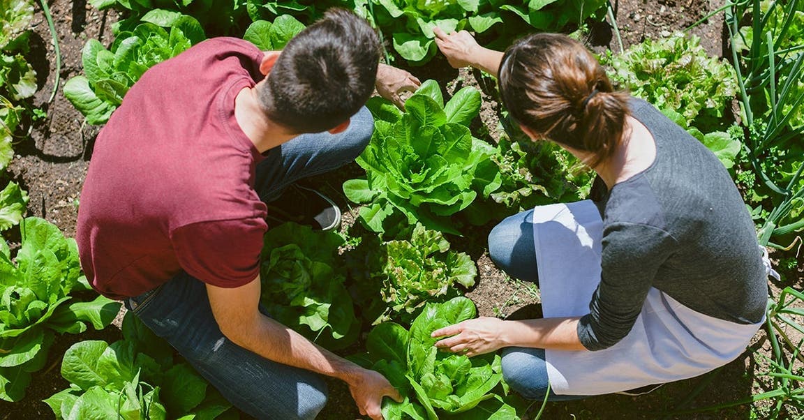 8 ways to turn household chores into a workout
