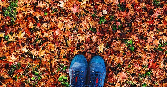Welcome to our guide to owning autumn