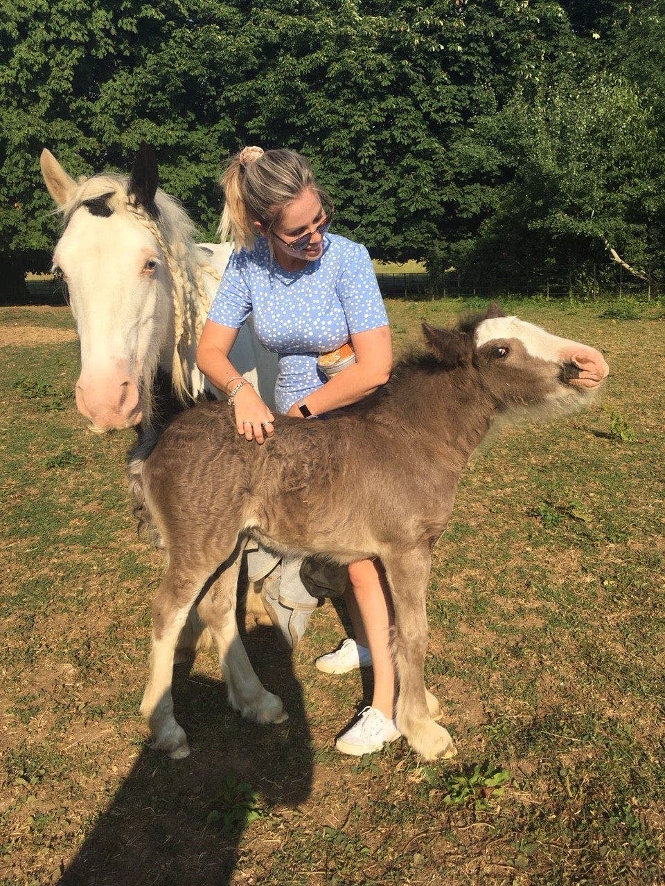 horse riding fitness