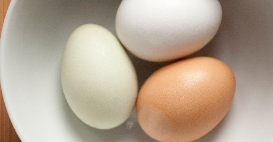 Egg head: How to cook perfect eggs every time