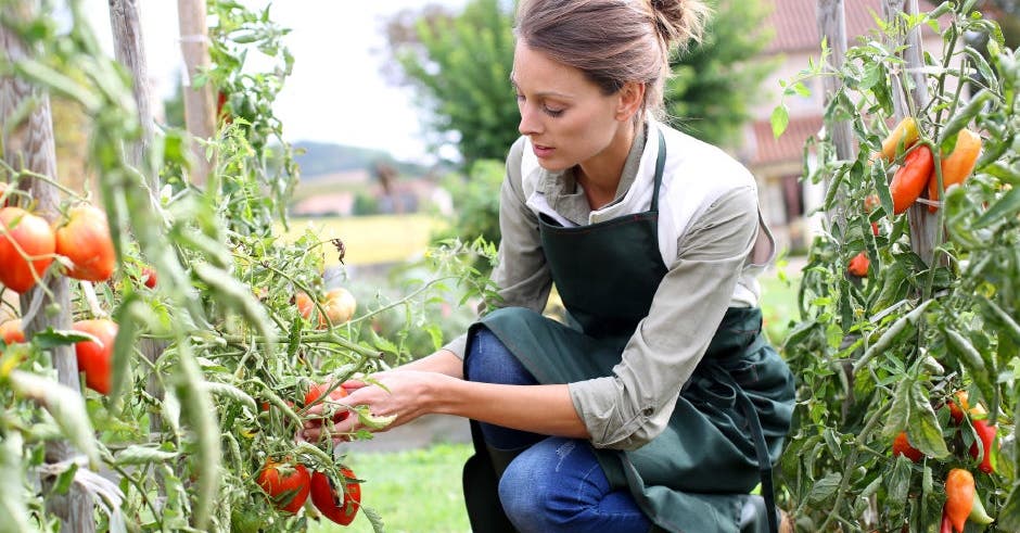 5 healthy habits to adopt now