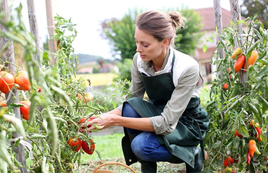 5 healthy habits to adopt now