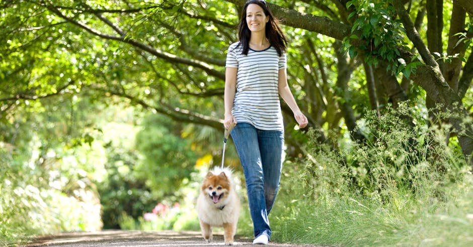 Take a walk