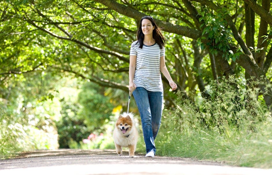 Take a walk