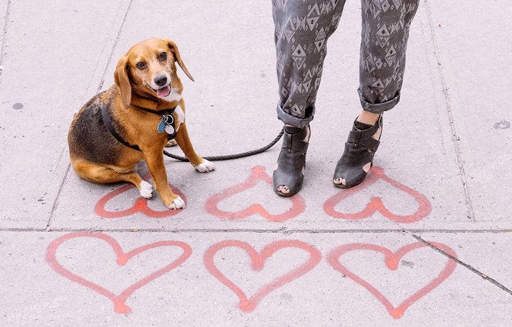 10 Ways to Hit 10,000 Steps