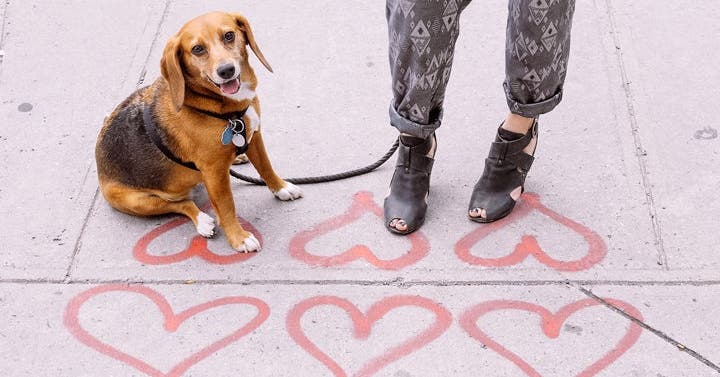 10 Ways to Hit 10,000 Steps