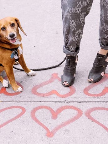 10 Ways to Hit 10,000 Steps