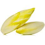 Curly endive