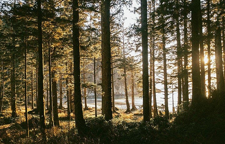 Have a Relationship With Nature
