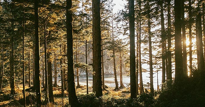 Have a Relationship With Nature