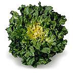 Escarole