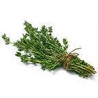 Thyme