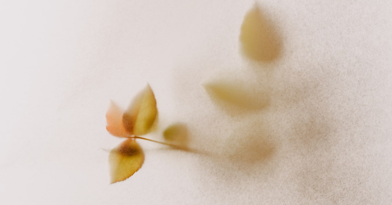 Menopause Brain Fog