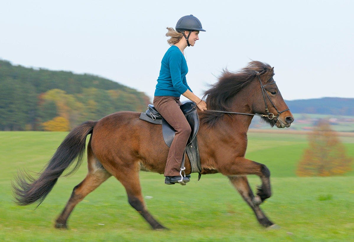 6 Reasons to get in the saddle