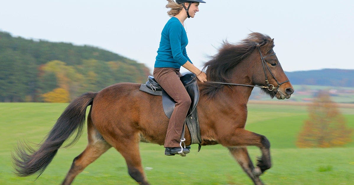 6 Reasons to get in the saddle