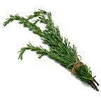 rosemary