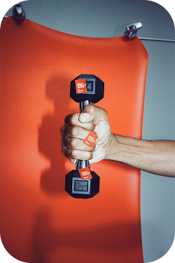 Rogue Fitness dumbells
