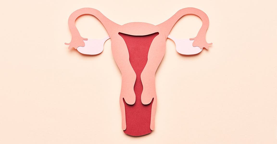 What Are Fibroids? Everything You Need to Know