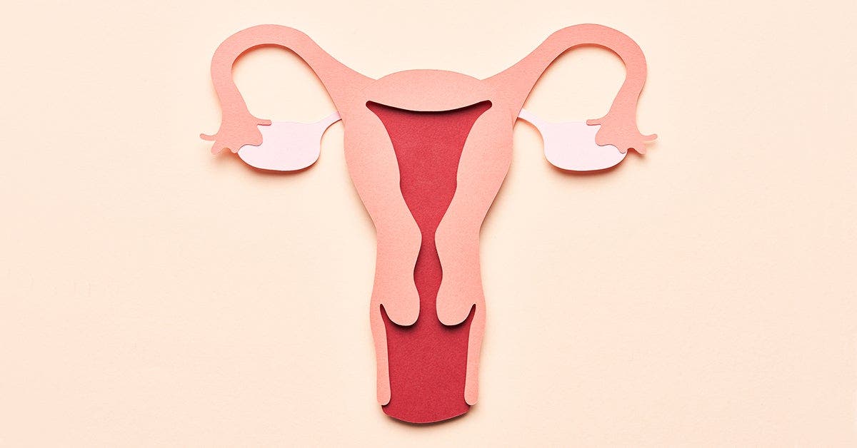 What Are Fibroids? Everything You Need to Know