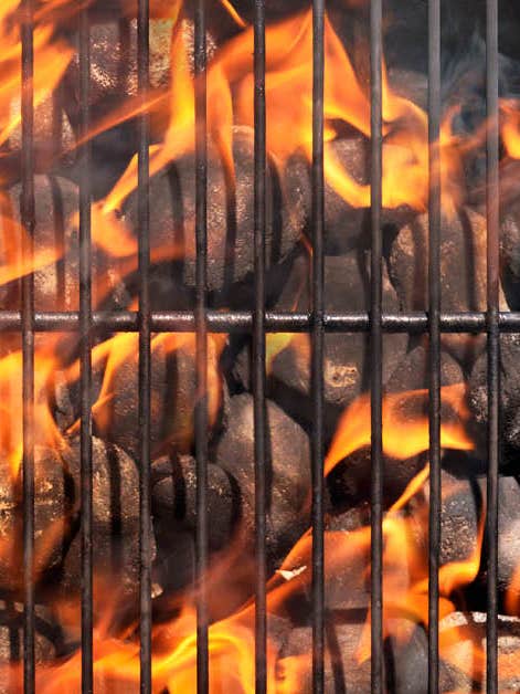 Grilling on the Coals