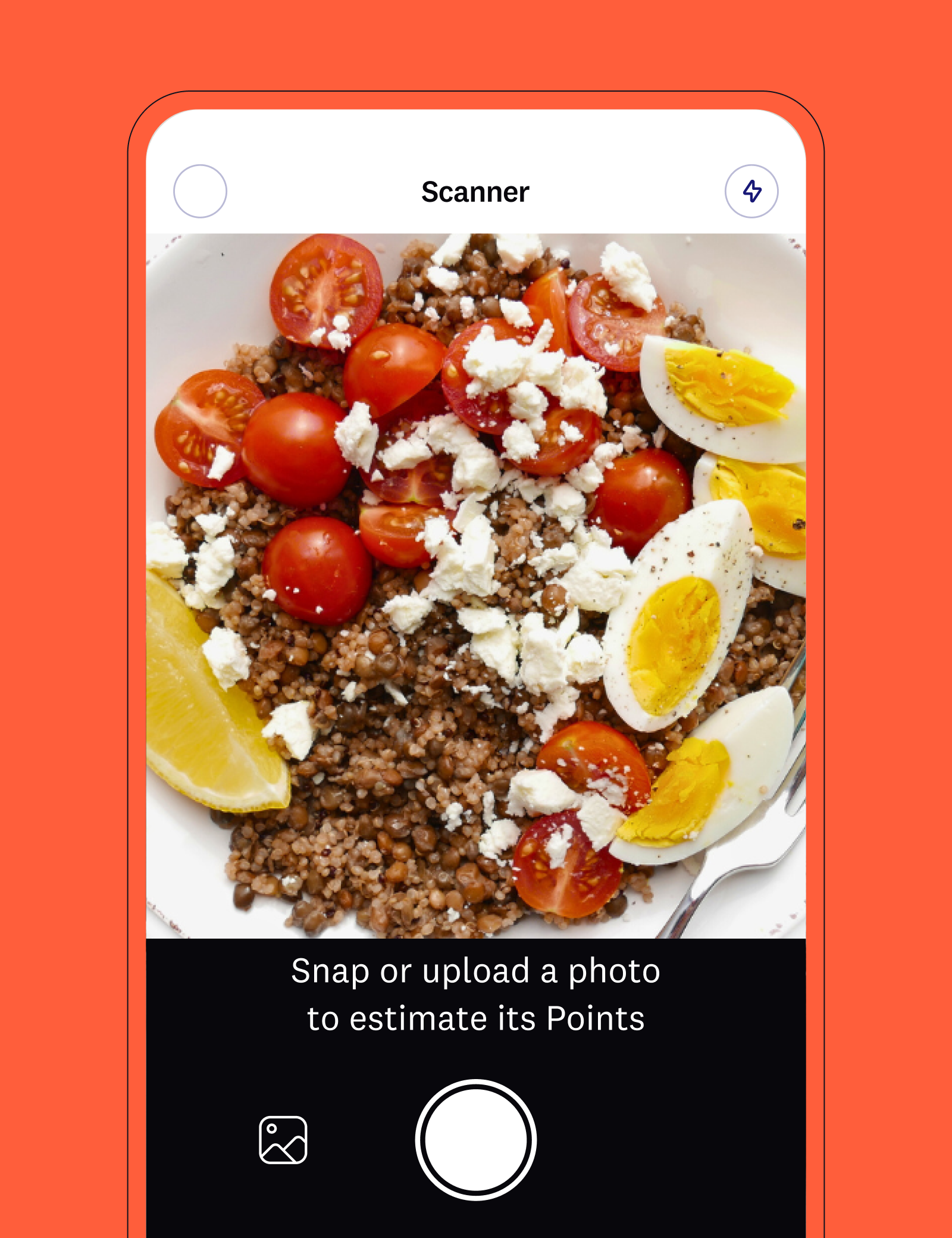 Image of app screen with food scanner. Take a photo of your food to estimate its points.