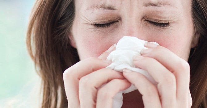 Allergies and Obesity: A Possible Link