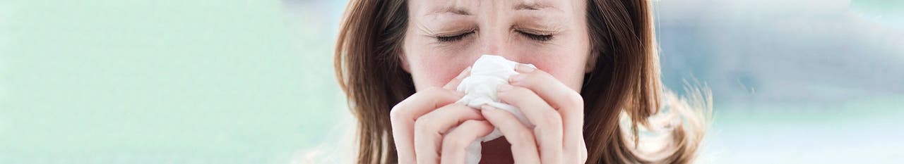 Allergies and Obesity: A Possible Link