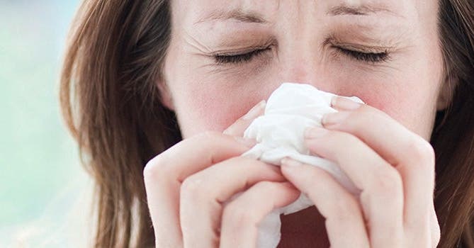 Allergies and Obesity: A Possible Link