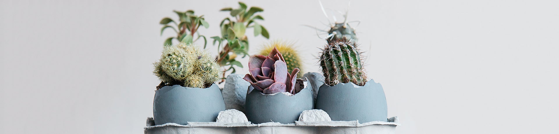 5 Creative Ways to Fight Cabin Fever