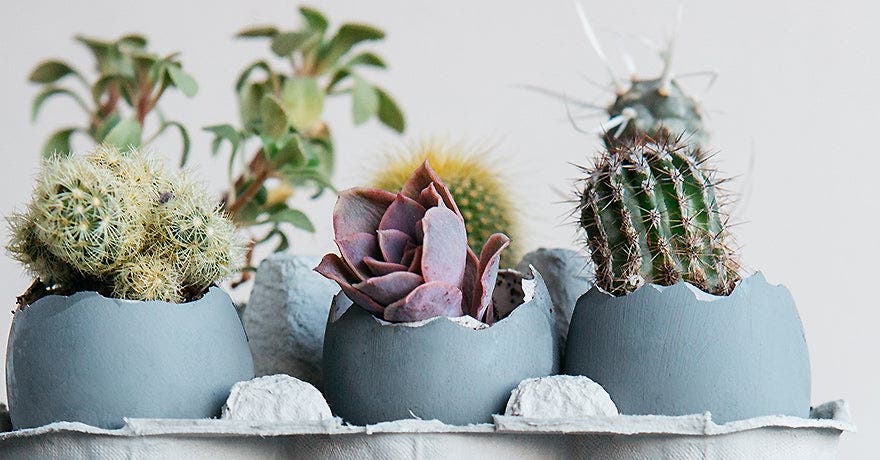 5 Creative Ways to Fight Cabin Fever