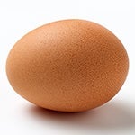 egg