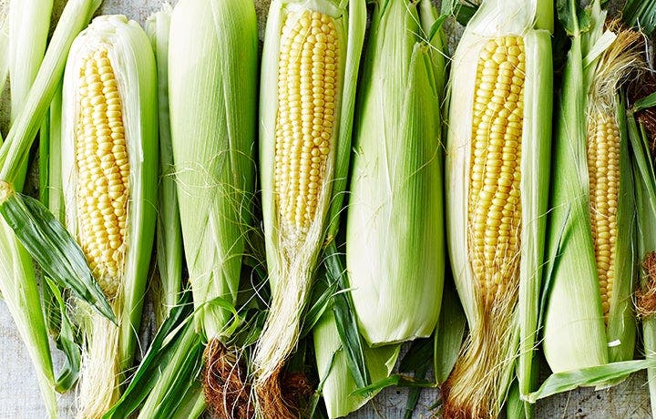Everything You Need to Know about Corn