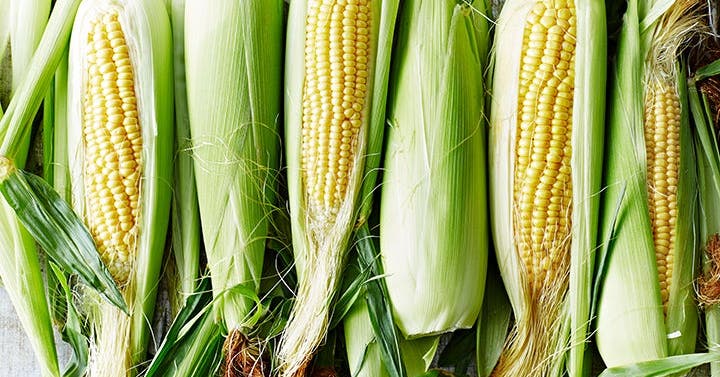 Everything You Need to Know about Corn