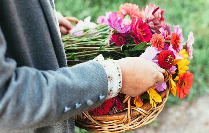 Why Give Thanks?