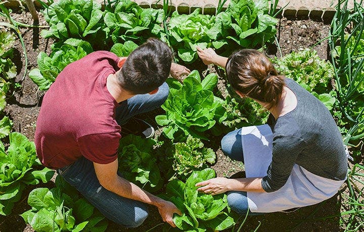 How to Promote Healthy Eating at College