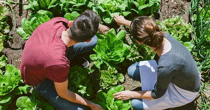 How to Promote Healthy Eating at College