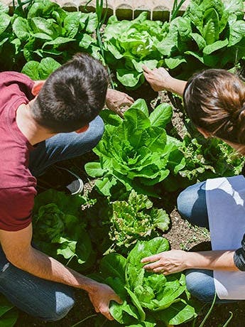 How to Promote Healthy Eating at College