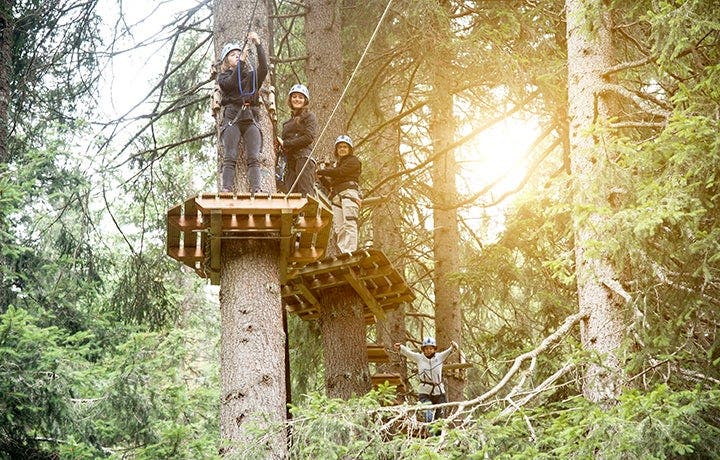 How to Stay Safe and Have Fun at an Aerial Adventure Park