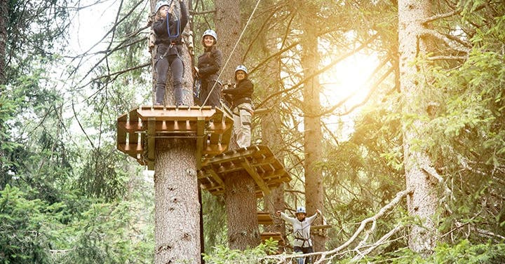 How to Stay Safe and Have Fun at an Aerial Adventure Park