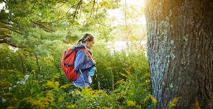 Know before you go: Trail hiking