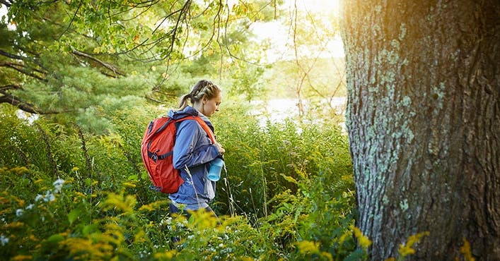 Know before you go: Trail hiking