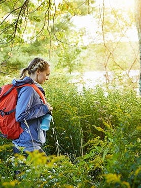 Know before you go: Trail hiking