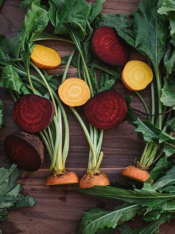 7 Kinds of Bitter Greens and Delicious Ways to Use Them