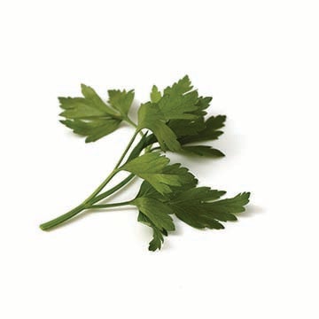 parsley