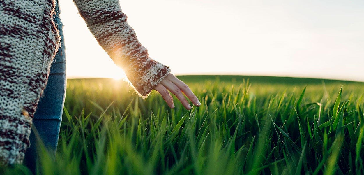 A woman walks gracefully in a field at sunset