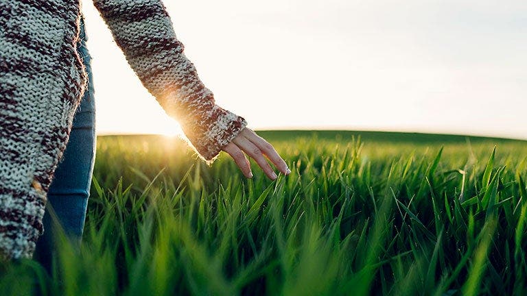 A woman walks gracefully in a field at sunset