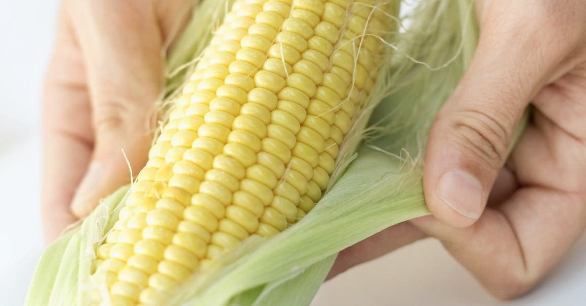 Removing Corn from the Cob