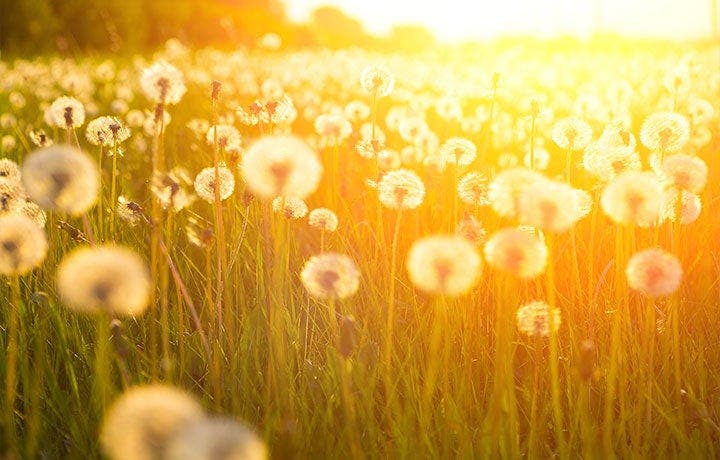 The Connection Between Trauma and Body Image